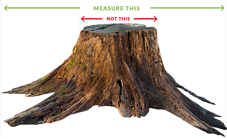Real tree stump with wide root flare: green arrow labeled MEASURE THIS spanning the full widest spread at ground level, red arrow labeled NOT THIS across just the narrow top